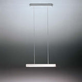 Artemide 192 Talo 2-Wire Dimmable LED Suspension Light 120V - Seginus Lighting